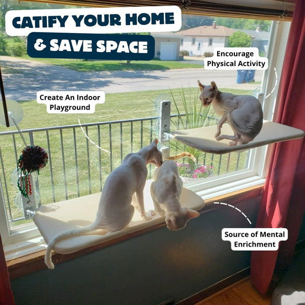 Foldable Cat Hammock