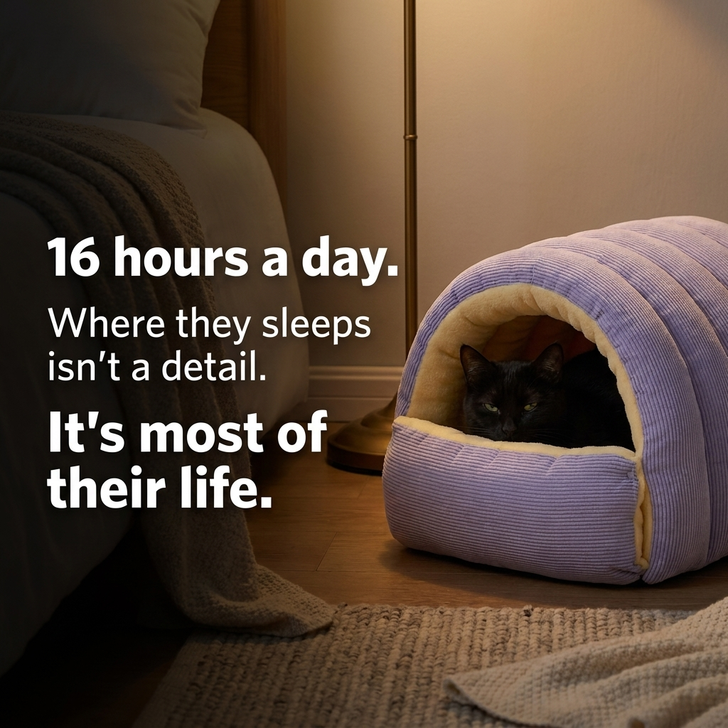 The Den Bed — Semi-Enclosed Cat Cave for Winter Warmth