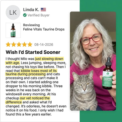 Feline Vitals Taurine+ Complete 60ml