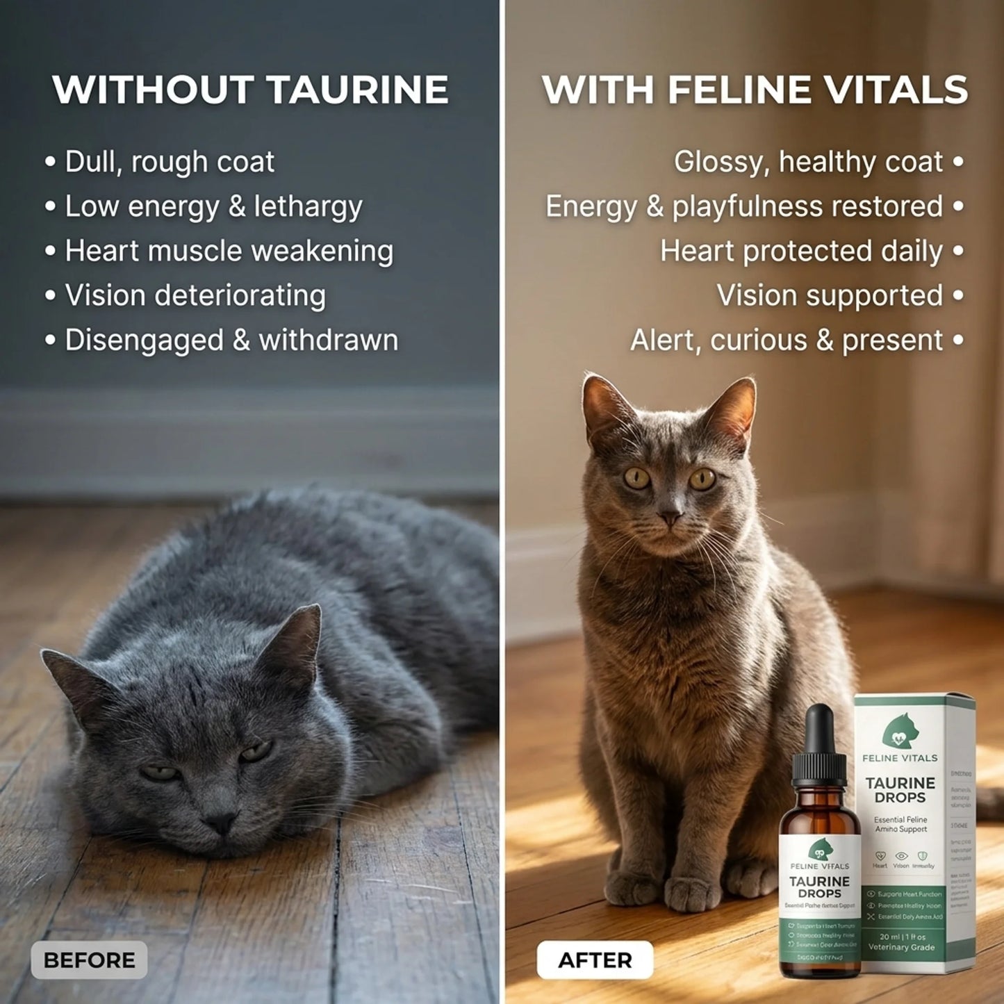 The One Nutrient Your Cat Can't Make — And Can't Go Without