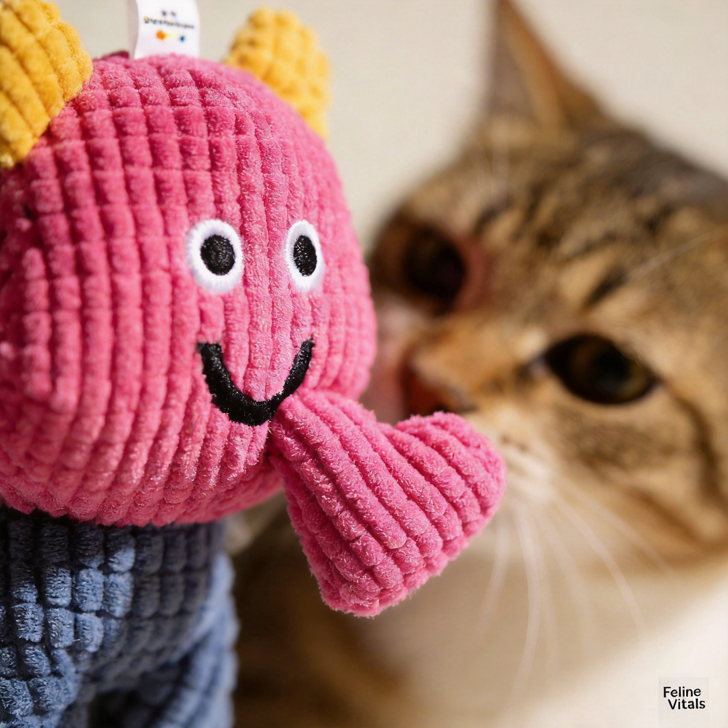 Catnip Dental Toy