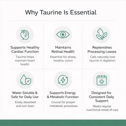 The One Nutrient Your Cat Can't Make — And Can't Go Without