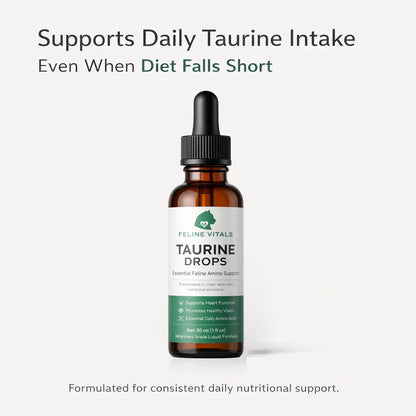 The One Nutrient Your Cat Can't Make — And Can't Go Without