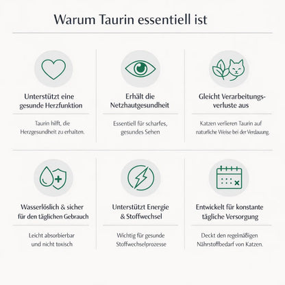 Feline Vitals™ Taurin-Tropfen — Tägliche Herz- & Augenunterstützung für Katzen