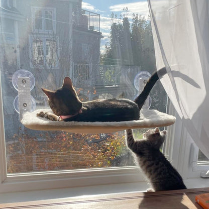 Foldable Cat Hammock